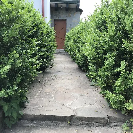 Shchaslyvyi Konukevi