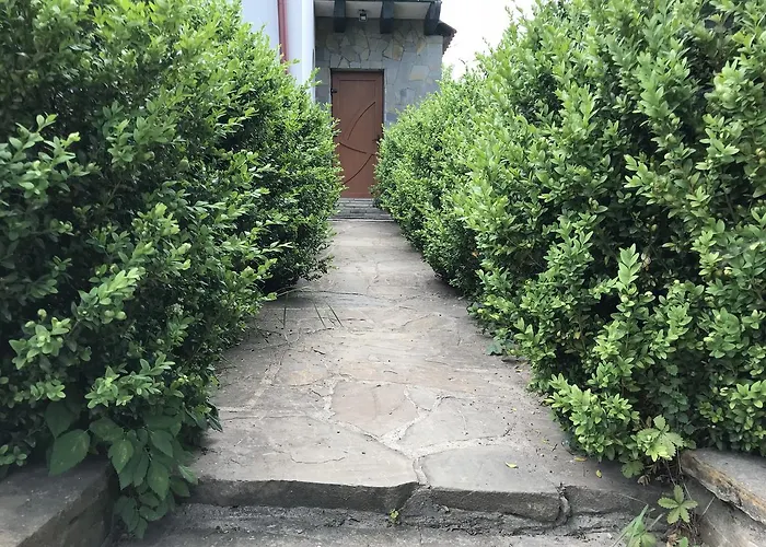 Shchaslyvyi Konukevi