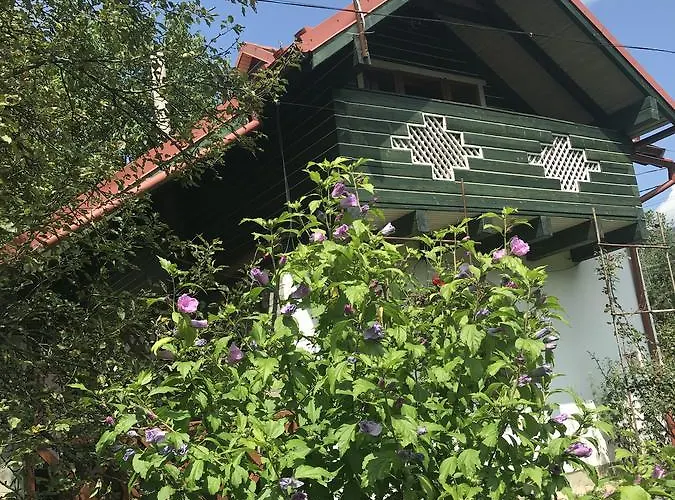 Konukevi Shchaslyvyi